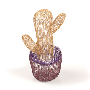 Mini Cactus - Cactus Decor - Yooladesign