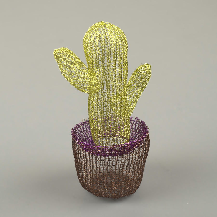 Mini Cactus - Cactus Decor - Yooladesign